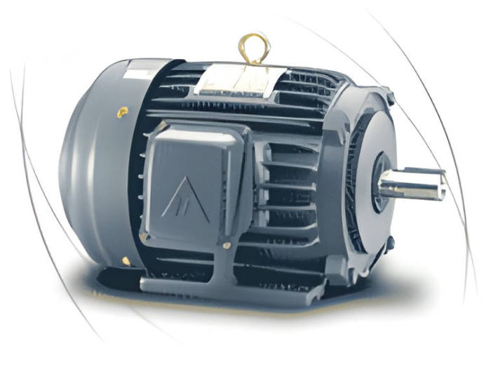 MOTOR 3 PHA ĐIỆN ÁP THẤP TECO